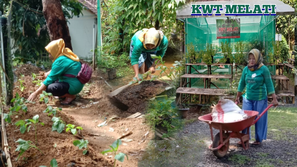 Budayakan Tanam Sayur Sendiri Lewat Kelompok Tani